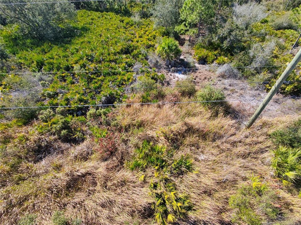 An aerial view shows a wooded lot with tall grass, palmetto plants, and utility lines — 1507 JACOBS STREET, PORT CHARLOTTE, FL
