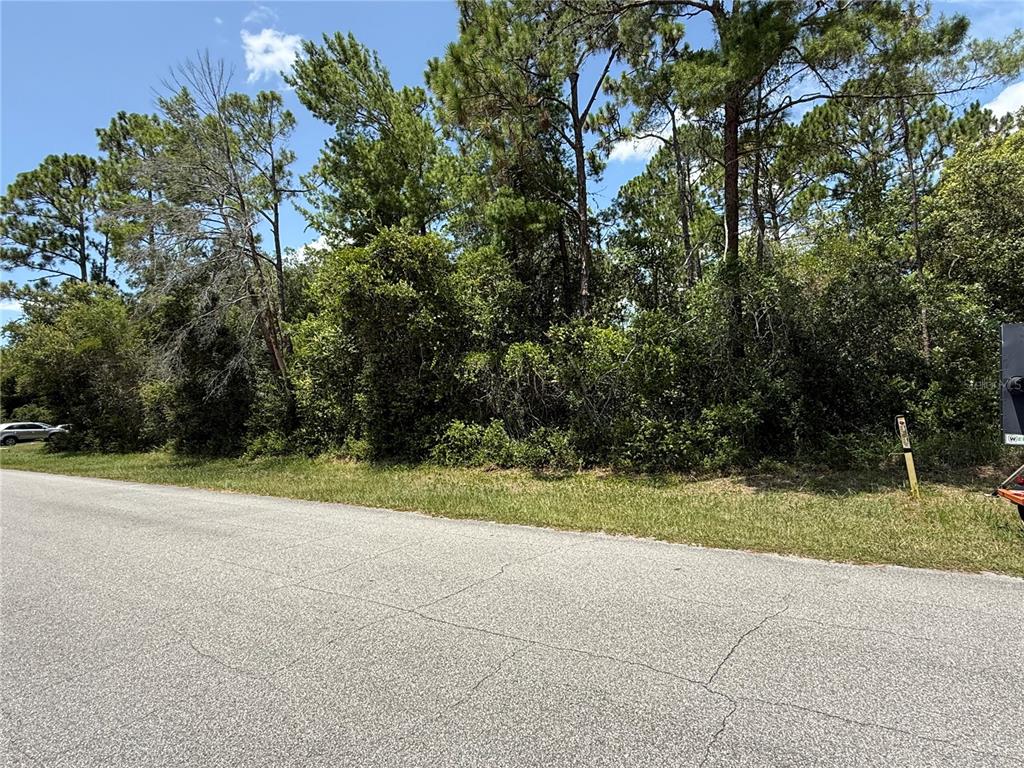 A paved road runs in front of a densely wooded, undeveloped residential lot — 2952 DAY ROAD, DELTONA, FL