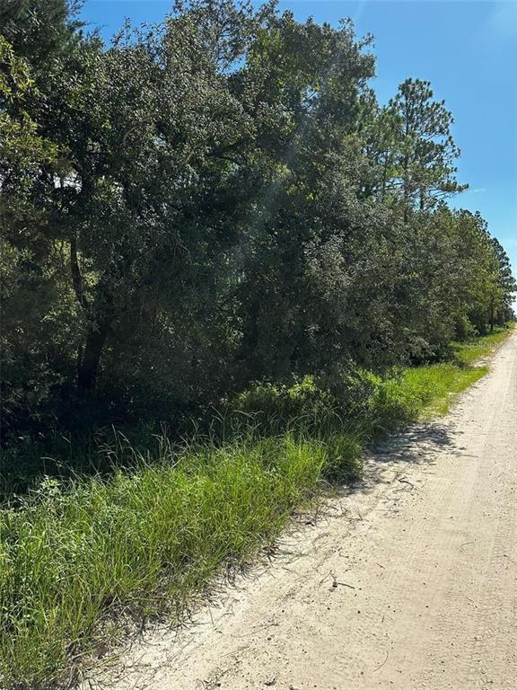 A dirt road runs alongside a dense line of trees and tall grass — XX SE 21ST PLACE, WILLISTON, FL