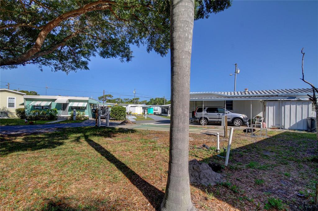 A palm tree stands in the foreground of a residential lot with several mobile homes — 4677 66TH LANE N UNIT 1, ST PETERSBURG, FL