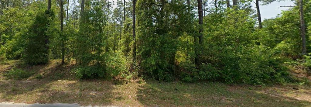 A wooded, undeveloped plot of land viewed from the edge of a paved road — 00 NW FALCON AVENUE, DUNNELLON, FL