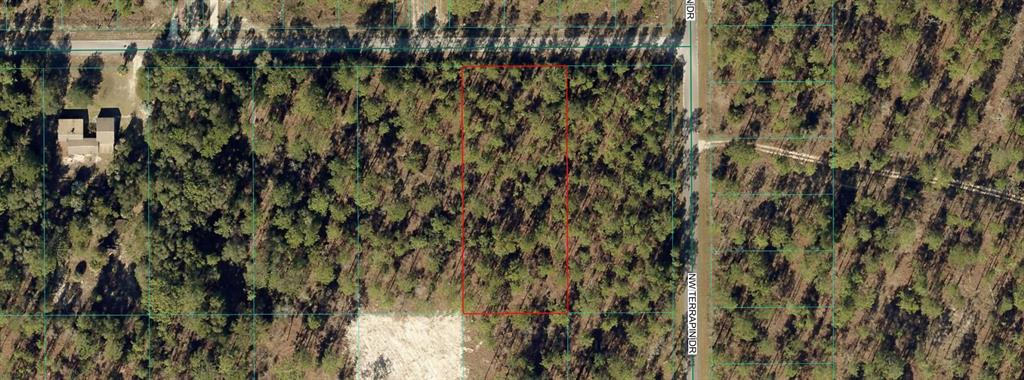 An aerial view shows a rectangular, wooded vacant lot outlined in red along a road — 00 NW FALCON AVENUE, DUNNELLON, FL