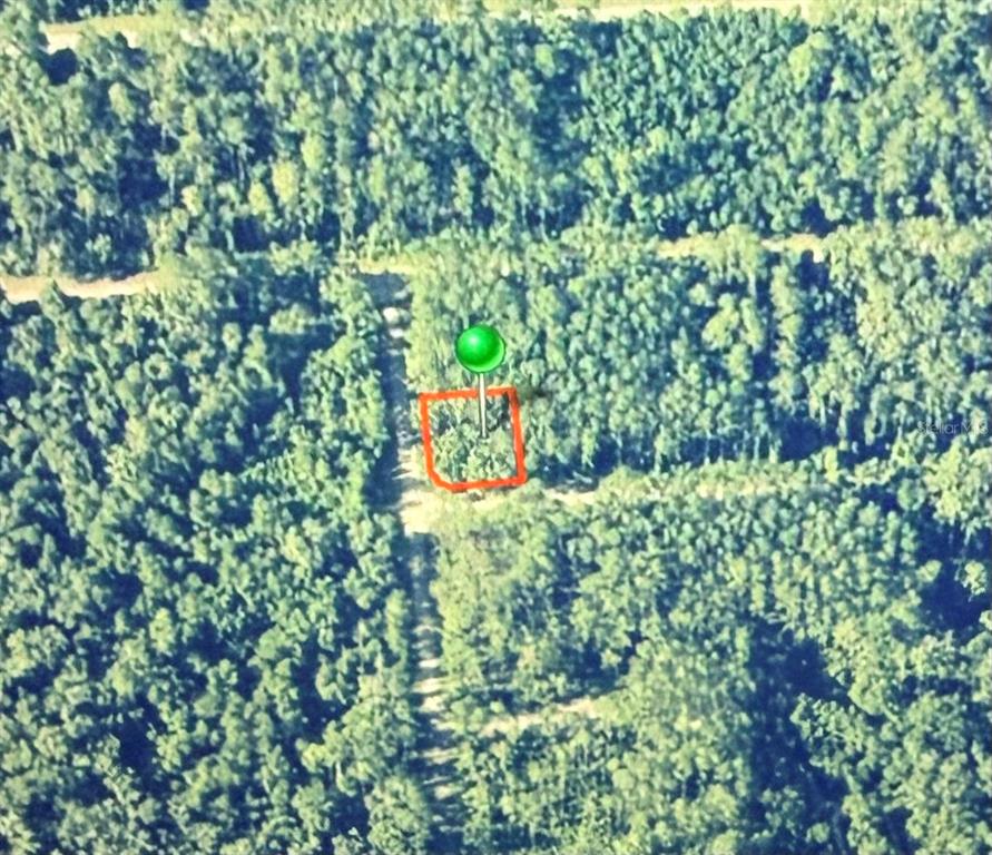 An aerial view shows a rectangular plot of land marked with a pin in a forest — 1124 VERCELLI LANE, CITRUS SPRINGS, FL