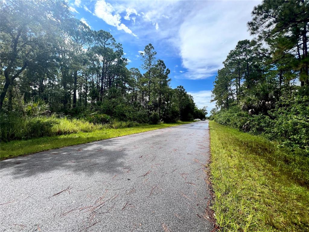 A paved road stretches through a wooded area under a blue sky with clouds — 420 BONSELL LANE, PORT CHARLOTTE, FL