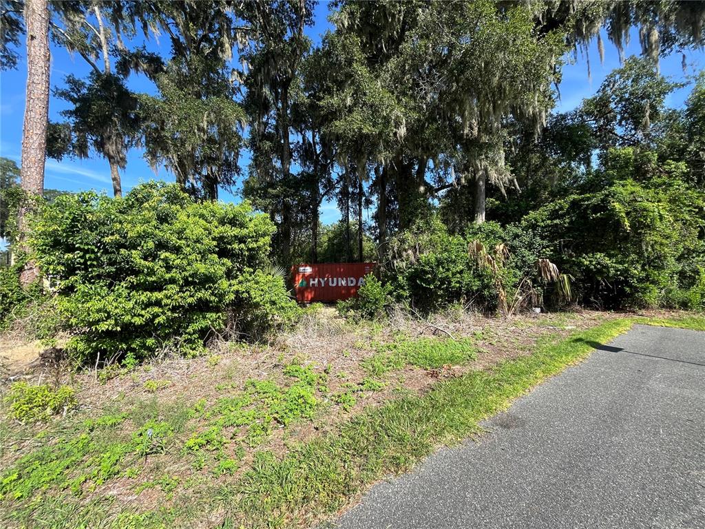 A red Hyundai shipping container sits in a wooded area next to a paved road — 214 NW 12TH AVENUE, GAINESVILLE, FL