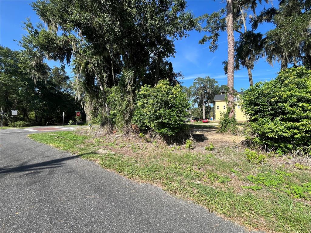 A paved road leads to a vacant, tree-lined lot with a yellow house in the background — 214 NW 12TH AVENUE, GAINESVILLE, FL