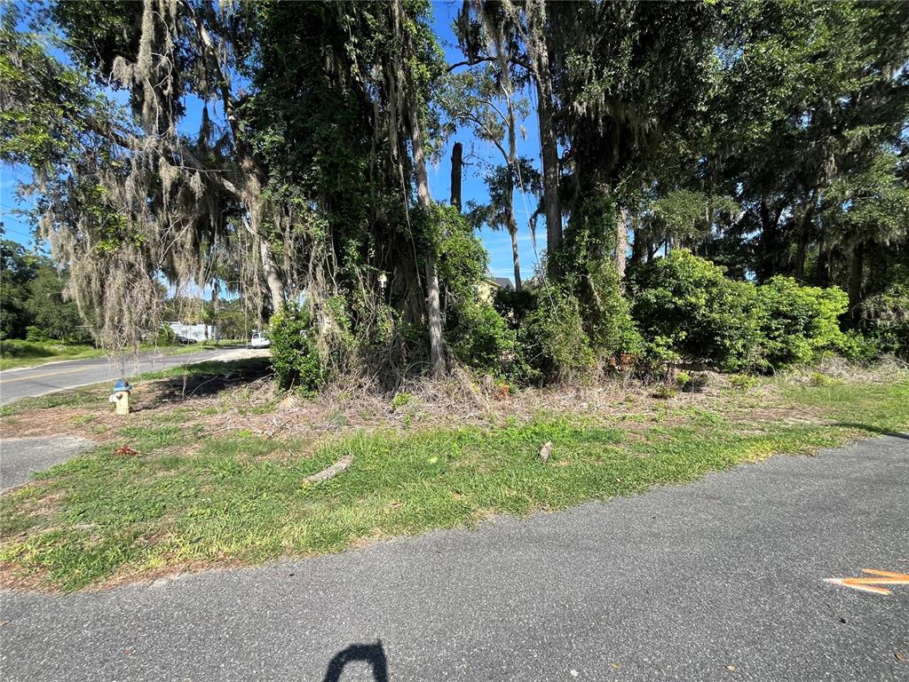 A vacant, wooded lot features a fire hydrant near a paved road — 214 NW 12TH AVENUE, GAINESVILLE, FL