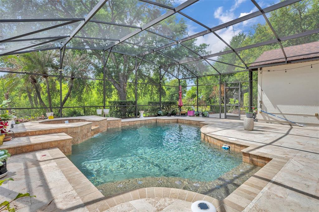 A screened-in swimming pool and spa with stone decking and a view of trees — 13536 SUNSET LAKES CIRCLE, WINTER GARDEN, FL