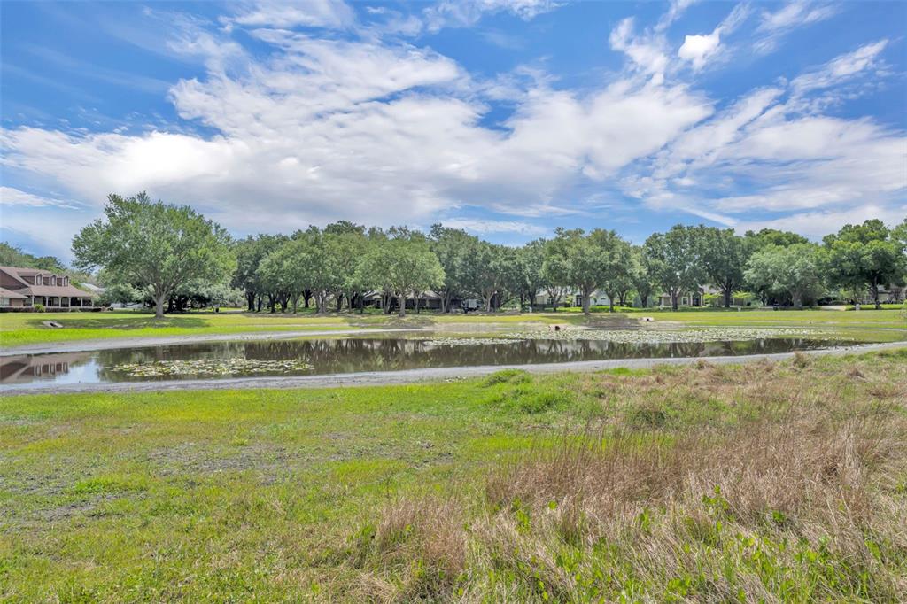 A pond sits in a grassy field in front of a line of trees and houses — 13536 SUNSET LAKES CIRCLE, WINTER GARDEN, FL