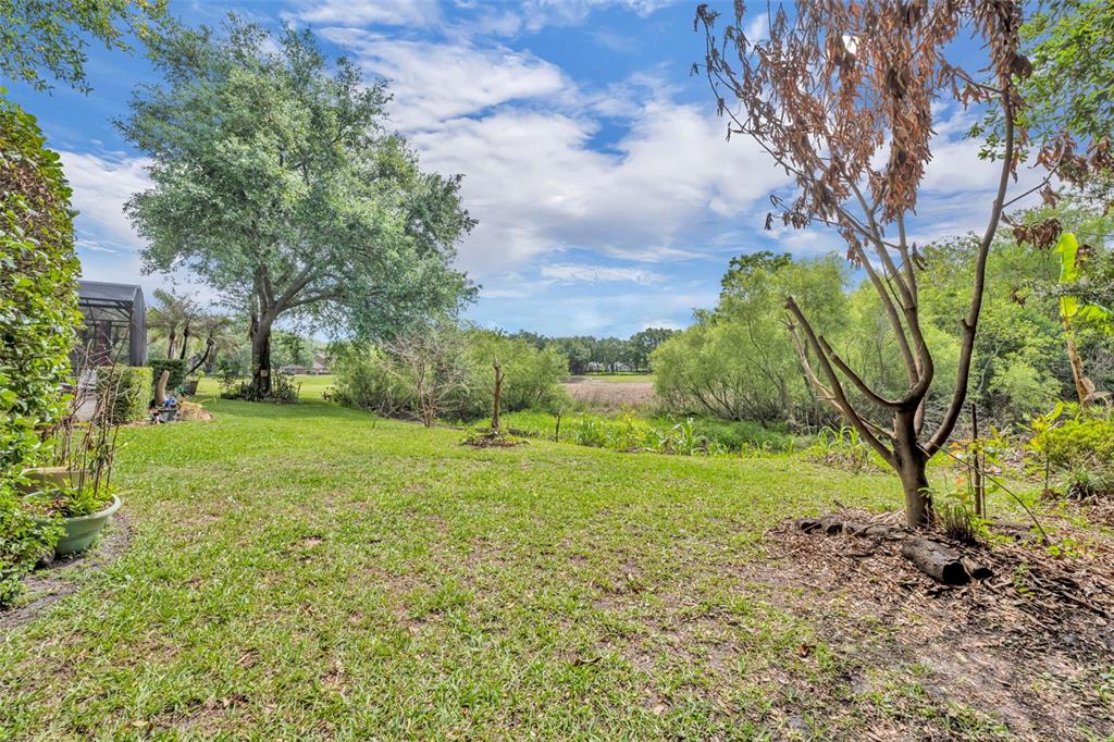 A grassy backyard features a large tree, a small pond, and a screened-in patio area — 13536 SUNSET LAKES CIRCLE, WINTER GARDEN, FL