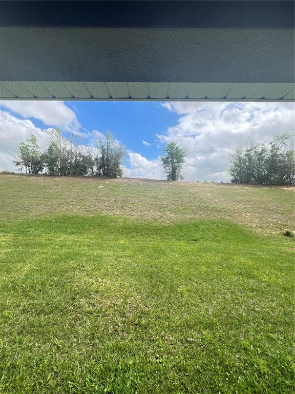 A view of a grassy backyard sloping upward toward a line of trees and sky — 13064 KENT BRADLEY STREET, DADE CITY, FL