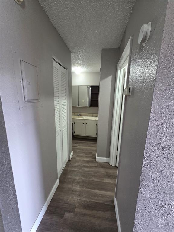 A hallway with gray walls and wood-look flooring leads to a bathroom vanity area — 2811 SW ARCHER ROAD UNIT R142, GAINESVILLE, FL