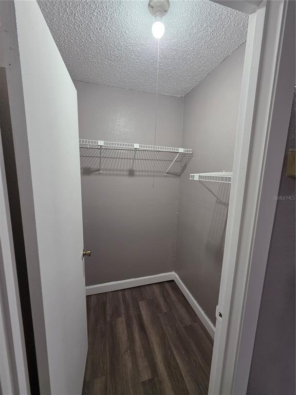 A small walk-in closet with gray walls, wood-look flooring, and white wire shelving — 2811 SW ARCHER ROAD UNIT R142, GAINESVILLE, FL
