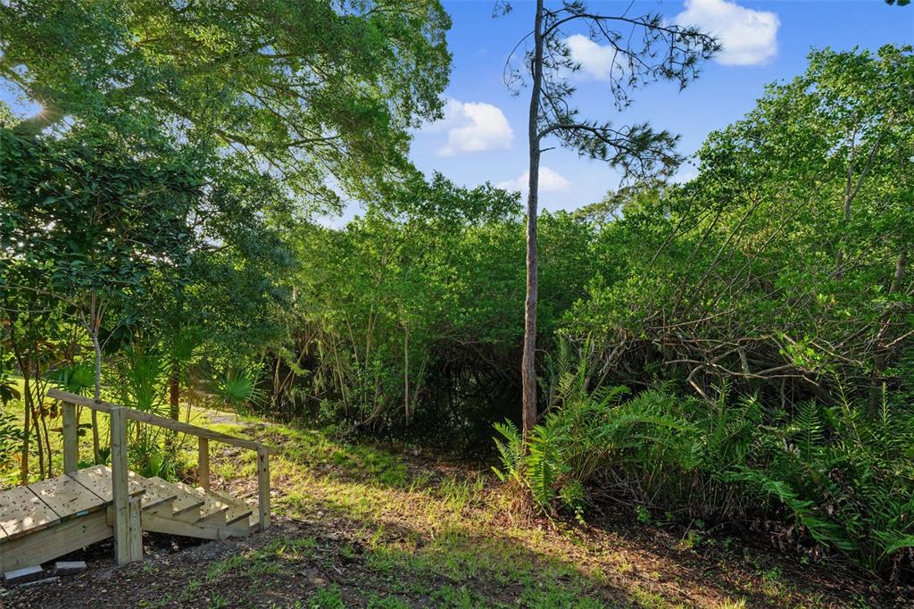 A wooden staircase leads into a dense, wooded area with lush green trees and foliage — 3010 LONGBROOKE WAY, CLEARWATER, FL