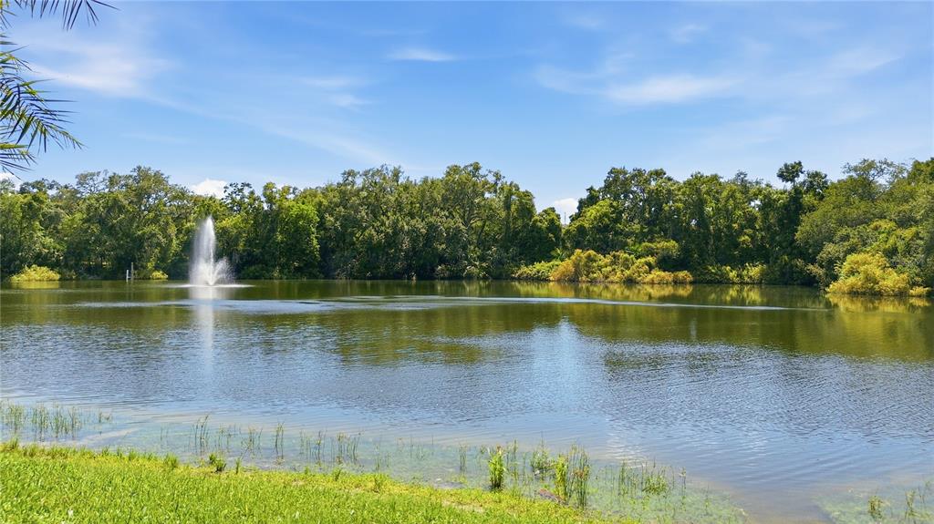 2726 14TH COURT, PALM HARBOR, FL — photo 5 of 30