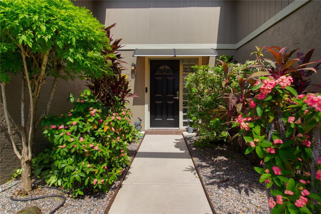 1613 ST CATHERINE DRIVE E, DUNEDIN, FL — photo 3 of 30