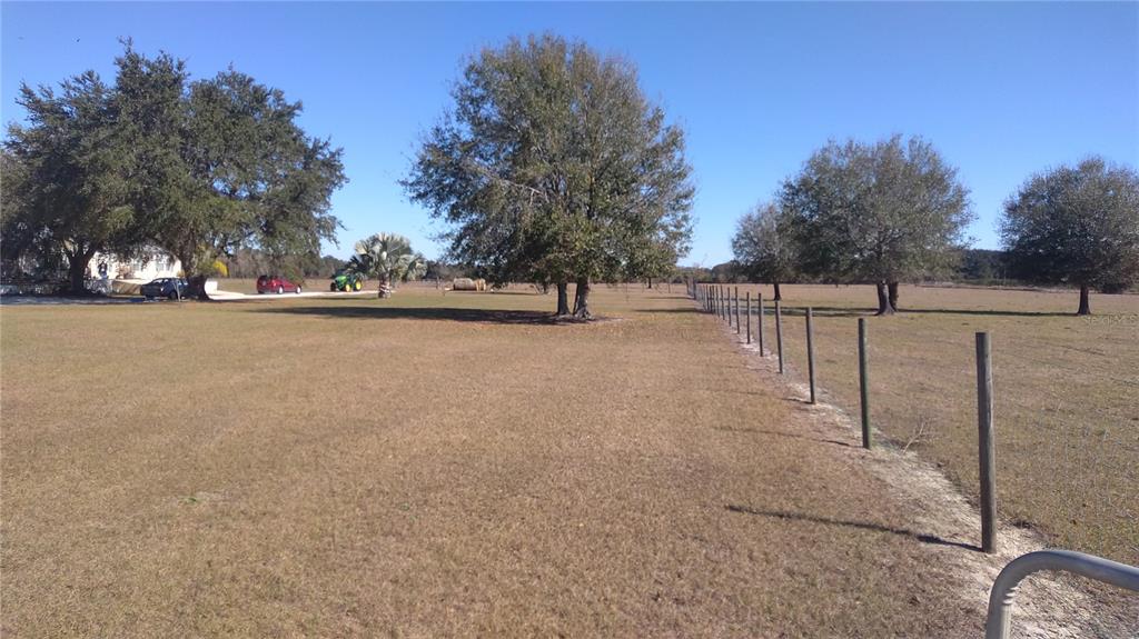 A fenced, grassy field features several large trees under a clear blue sky — 12051 AVON PARK CUT OFF ROAD, FORT MEADE, FL