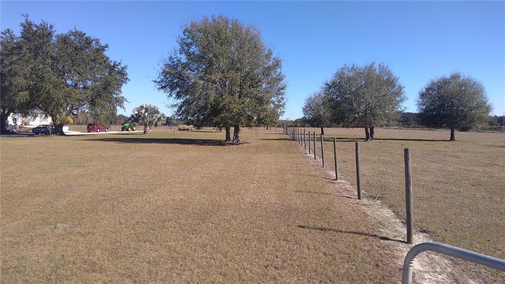 A fenced, grassy field features several large trees under a clear blue sky — 12051 AVON PARK CUT OFF ROAD, FORT MEADE, FL