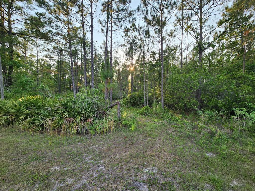 LOT 8 TAMARAC STREET, EUSTIS, FL — photo 2 of 7