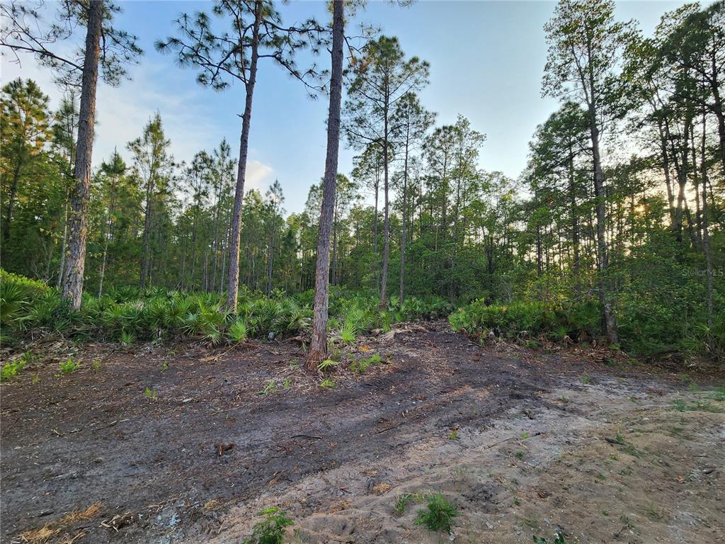LOT 8 TAMARAC STREET, EUSTIS, FL — photo 3 of 7