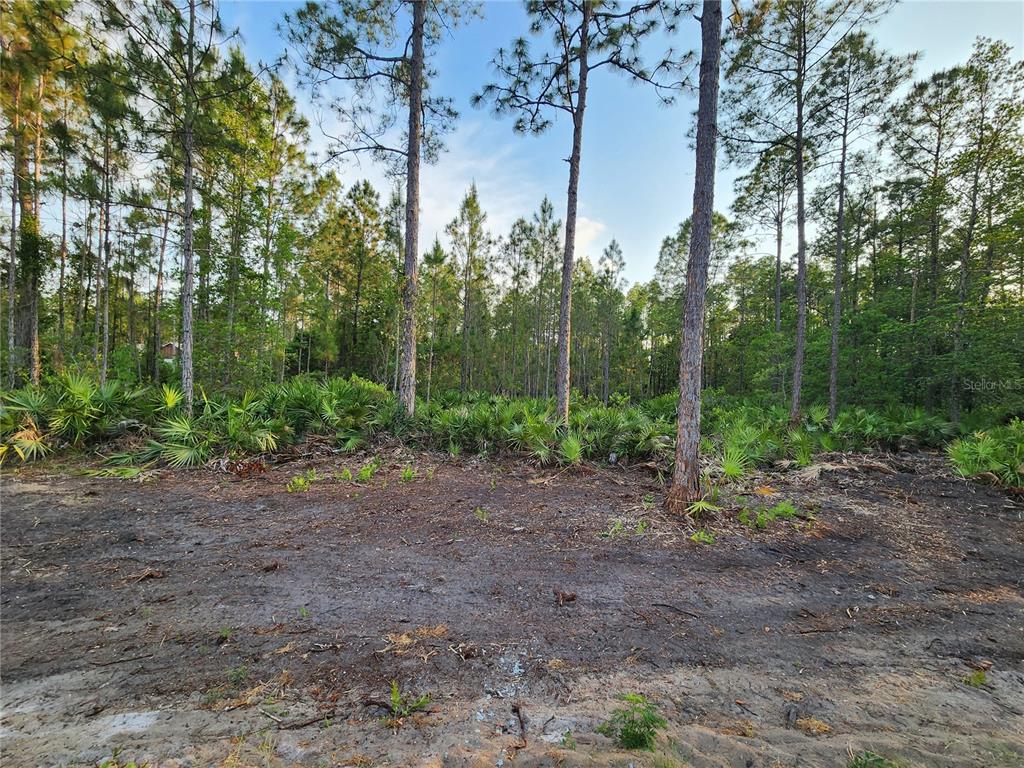 LOT 8 TAMARAC STREET, EUSTIS, FL — photo 4 of 7