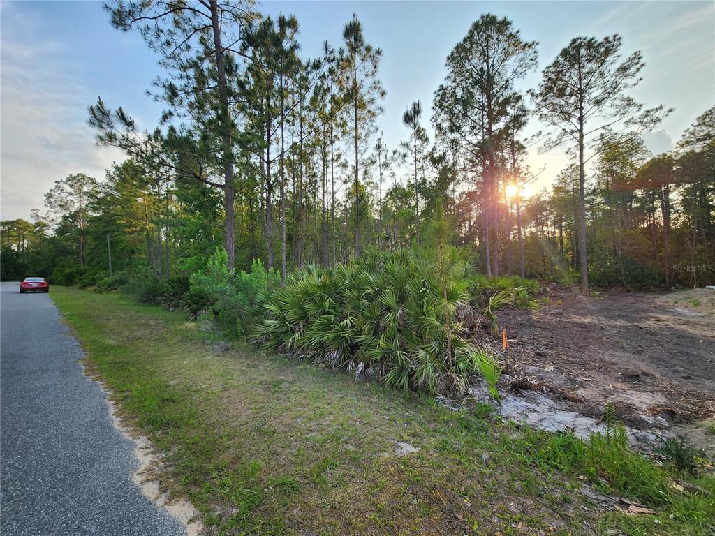 LOT 8 TAMARAC STREET, EUSTIS, FL — photo 5 of 7