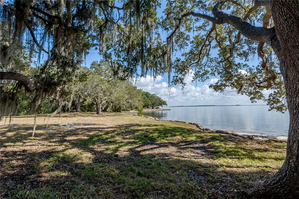 A grassy waterfront lot features large oak trees with Spanish moss overlooking a calm lake — 6210 BAYSHORE BOULEVARD, TAMPA, FL