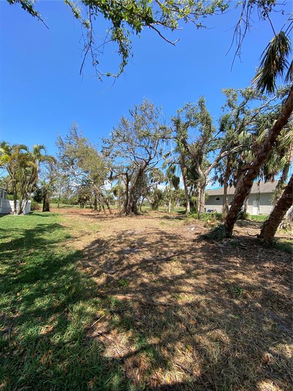 A grassy, partially wooded vacant lot with palm trees and a neighboring house in the background — 45 LONG MEADOW PLACE, ROTONDA WEST, FL