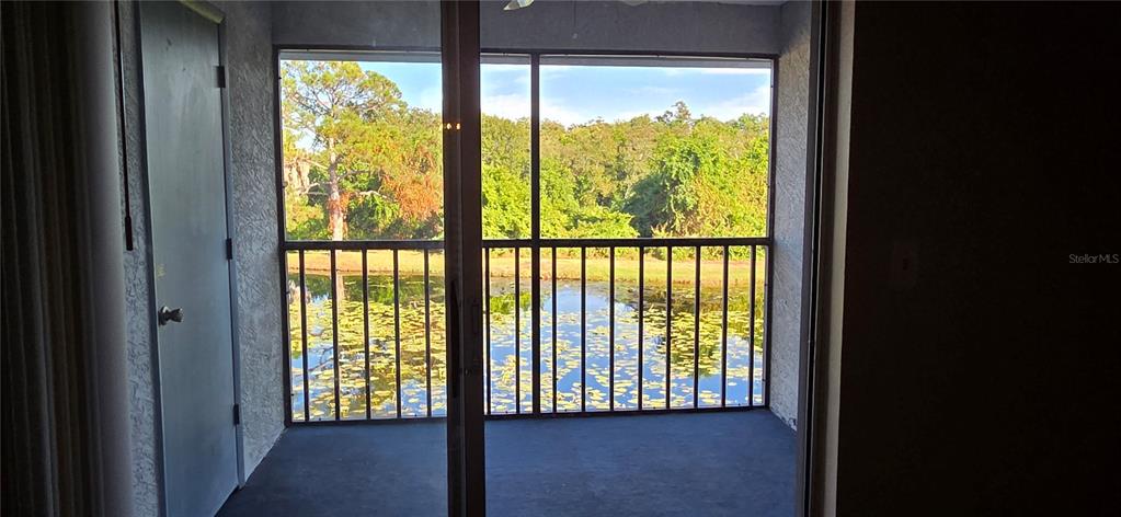 A screened-in balcony overlooks a pond with lily pads and surrounding trees — 11201 122ND AVENUE UNIT L-232, LARGO, FL