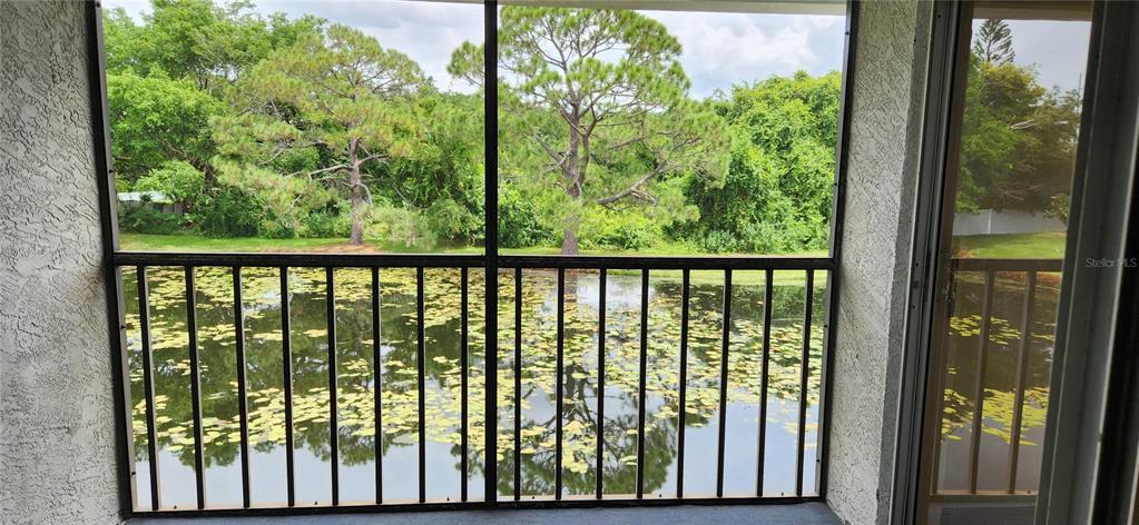 A screened-in balcony overlooks a pond filled with lily pads and surrounding trees — 11201 122ND AVENUE UNIT L-232, LARGO, FL