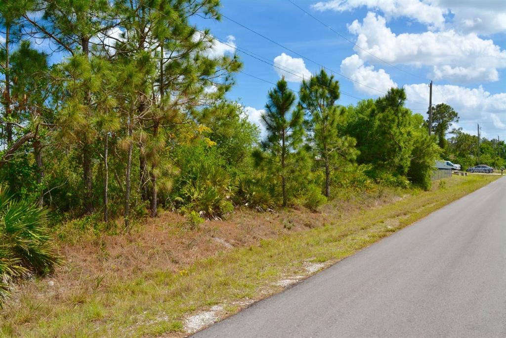 A paved road runs alongside a vacant, wooded lot with pine trees and low vegetation — 1510 PINE AVENUE, LEHIGH ACRES, FL