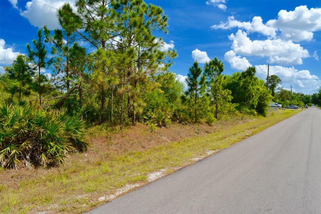 A paved road runs alongside a grassy lot with pine trees and palmetto bushes — 1510 PINE AVENUE, LEHIGH ACRES, FL