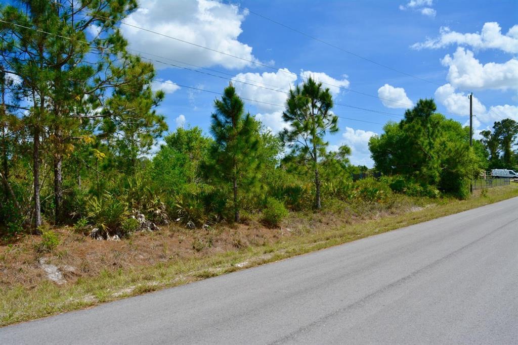 A paved road runs alongside a vacant, wooded lot with pine trees and native vegetation — 1510 PINE AVENUE, LEHIGH ACRES, FL