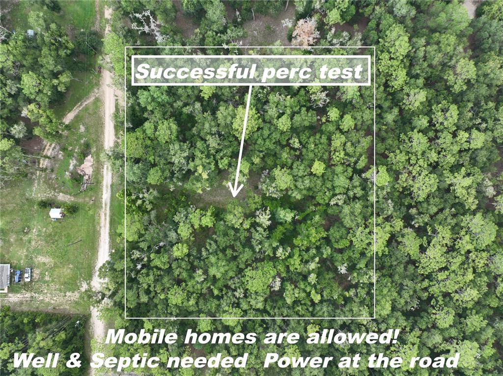 An aerial view of a wooded lot with a white box overlaying the property — 13205 S CRATER TERRACE, FLORAL CITY, FL