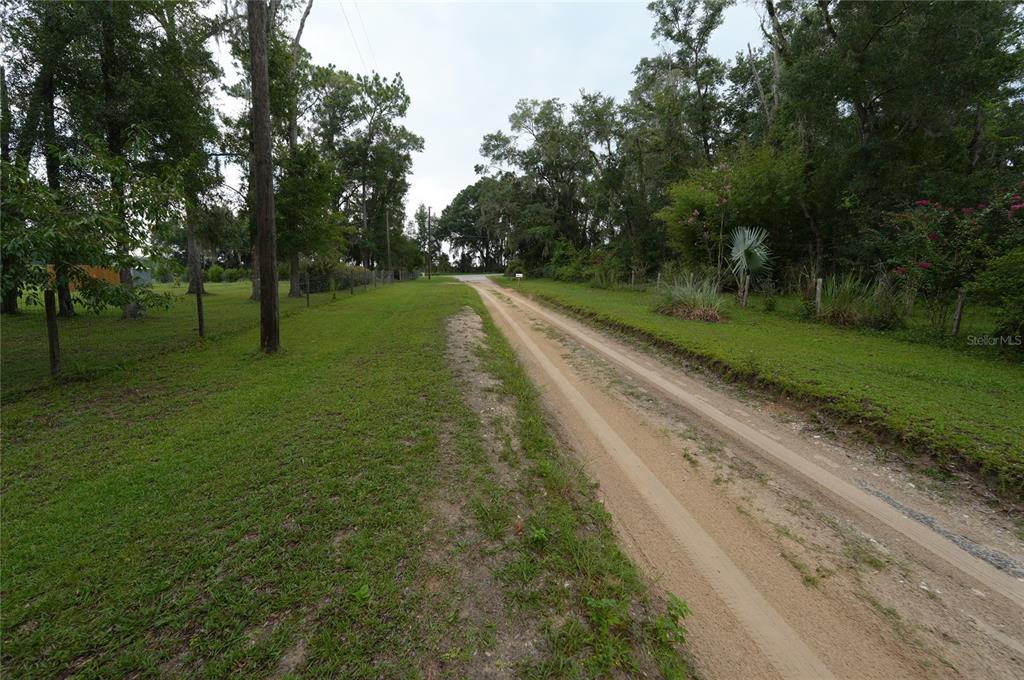 A dirt driveway leads through a grassy, tree-lined lot under a cloudy sky — 13205 S CRATER TERRACE, FLORAL CITY, FL