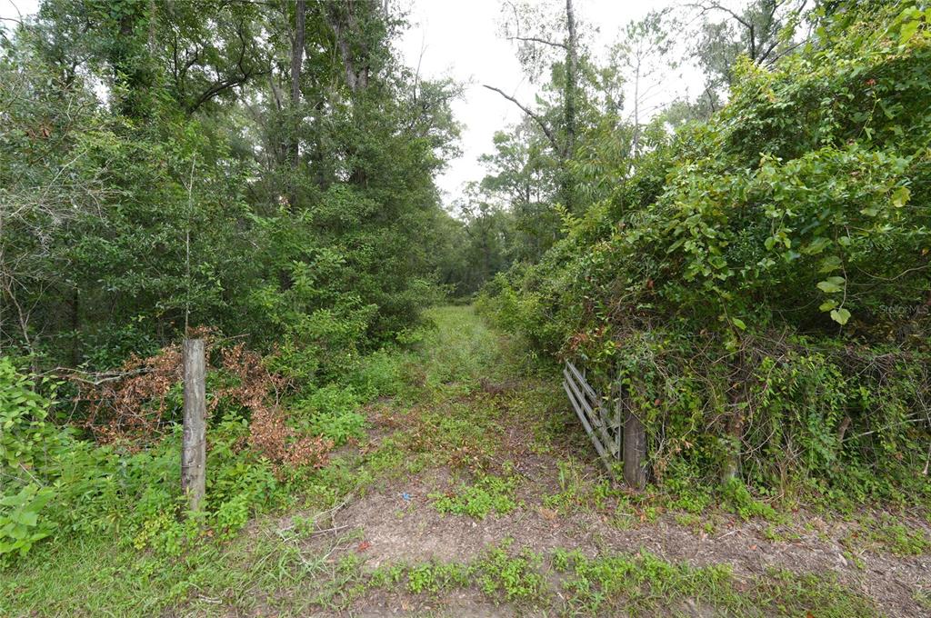 A dirt path leads into a dense, wooded area through an open wooden gate — 13205 S CRATER TERRACE, FLORAL CITY, FL
