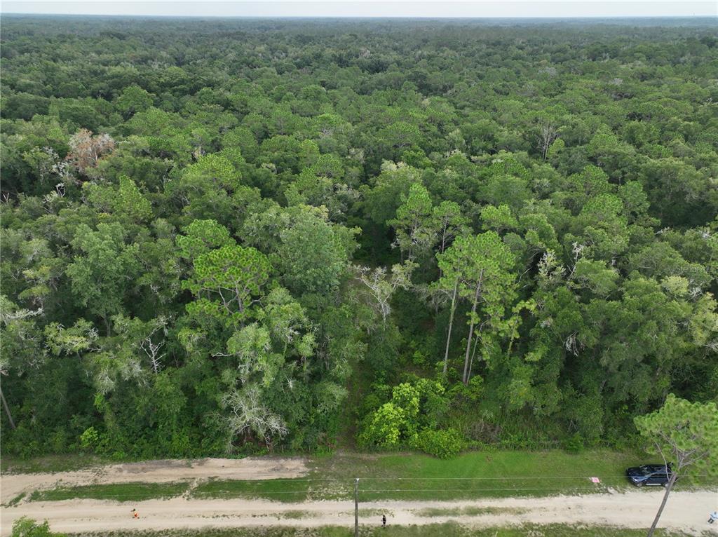 An aerial view shows a dirt road bordering a dense, wooded forest — 13205 S CRATER TERRACE, FLORAL CITY, FL