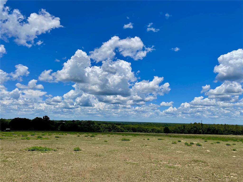 A wide, grassy field stretches toward a distant tree line under a bright blue sky — PARRISH GROVE ROAD, DADE CITY, FL
