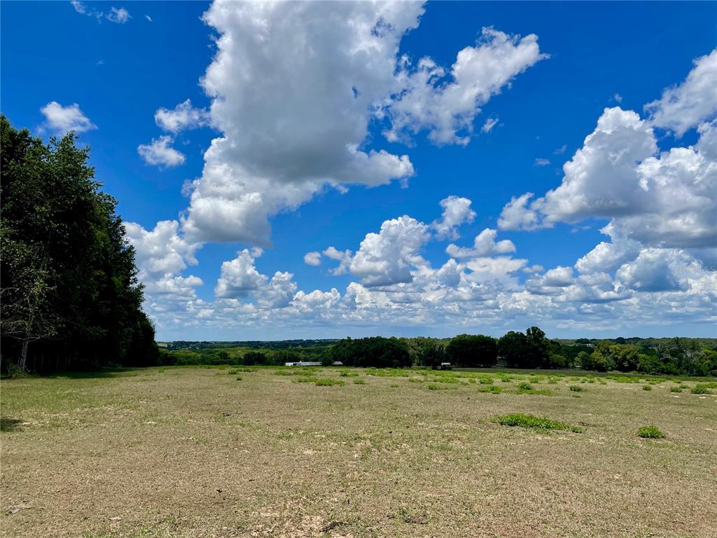 A wide, grassy field stretches toward a distant tree line under a bright blue sky — PARRISH GROVE ROAD, DADE CITY, FL