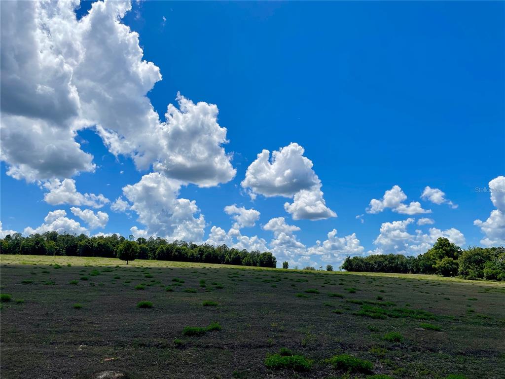 A vast, open field of dark soil and sparse grass sits beneath a bright blue sky — PARRISH GROVE ROAD, DADE CITY, FL