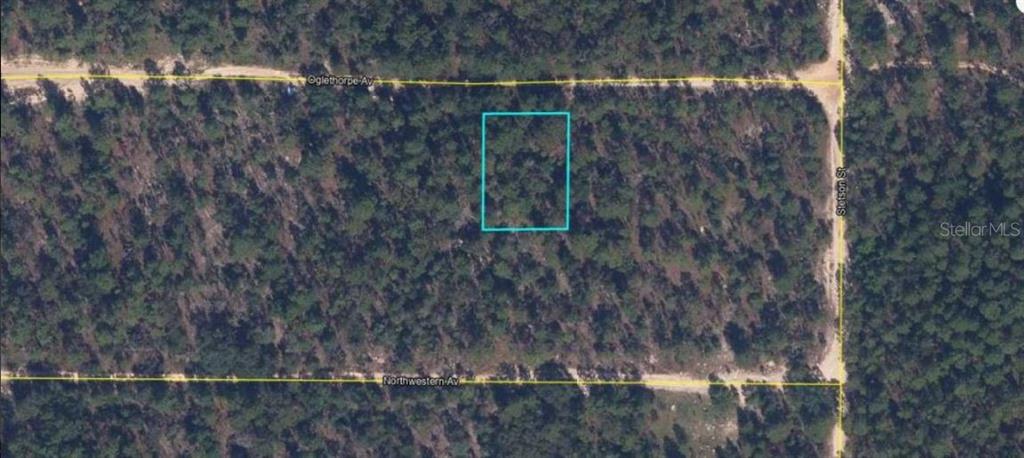 An aerial map view shows a rectangular plot of land outlined in blue near two roads — 6213 OLGETHORPE AVENUE, KEYSTONE HEIGHTS, FL