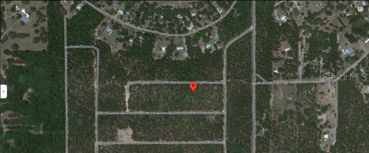This is a satellite map view of a wooded residential lot marked with a red pin — 6213 OLGETHORPE AVENUE, KEYSTONE HEIGHTS, FL
