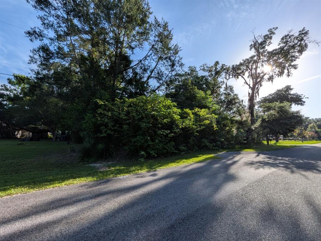 A paved road runs alongside a densely wooded, undeveloped residential lot under a sunny sky — 1123 NE 23RD STREET, OCALA, FL