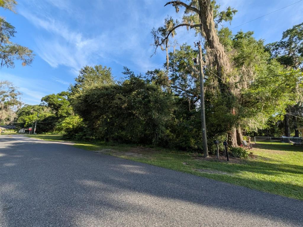 A paved road runs alongside a wooded, undeveloped residential lot with large oak trees — 1123 NE 23RD STREET, OCALA, FL