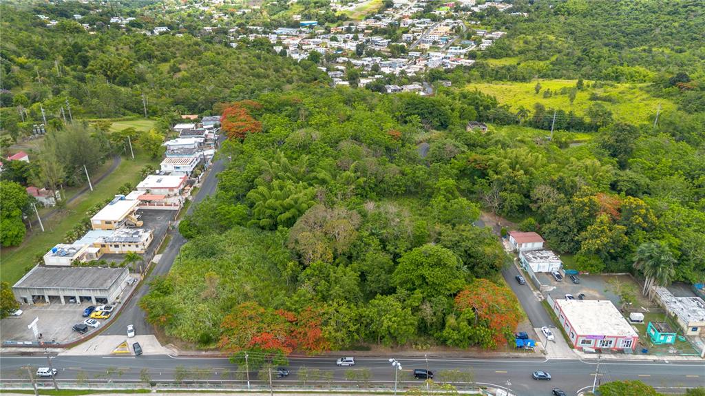 CARR 14 KM 71.2, CAYEY, PR — photo 2 of 11