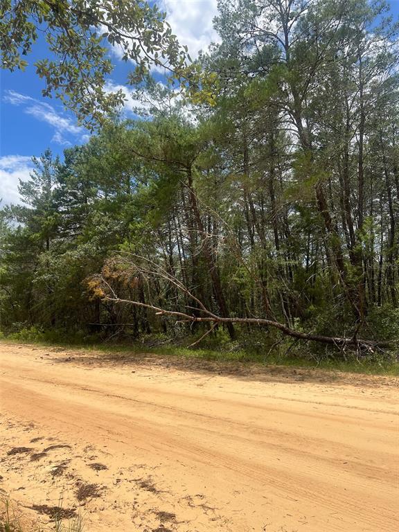 A dirt road runs alongside a wooded area with a fallen tree branch — NEILSON AVE, INTERLACHEN, FL