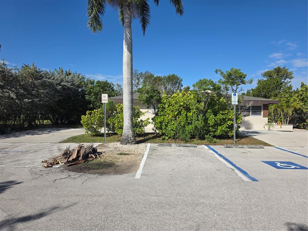 A paved parking lot features a palm tree, a handicap space, and a small building — 725 PATTY AVENUE, PUNTA GORDA, FL