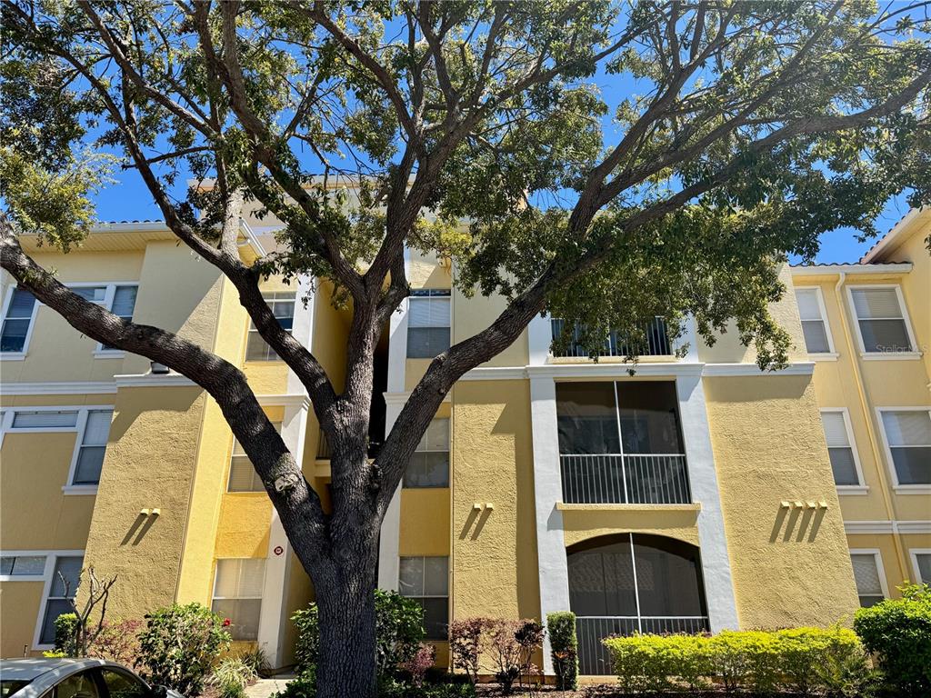 A large tree stands in front of a three-story yellow apartment building with screened balconies — 1100 LAKE SHADOW CIRCLE UNIT 2103, MAITLAND, FL