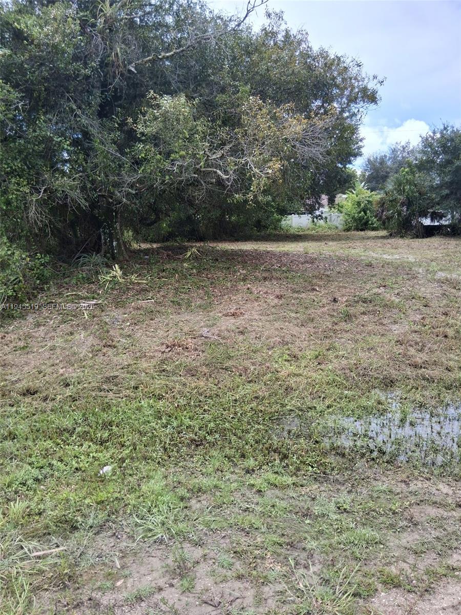 14070 CARLOS STREET, Fort Myers FL 33905