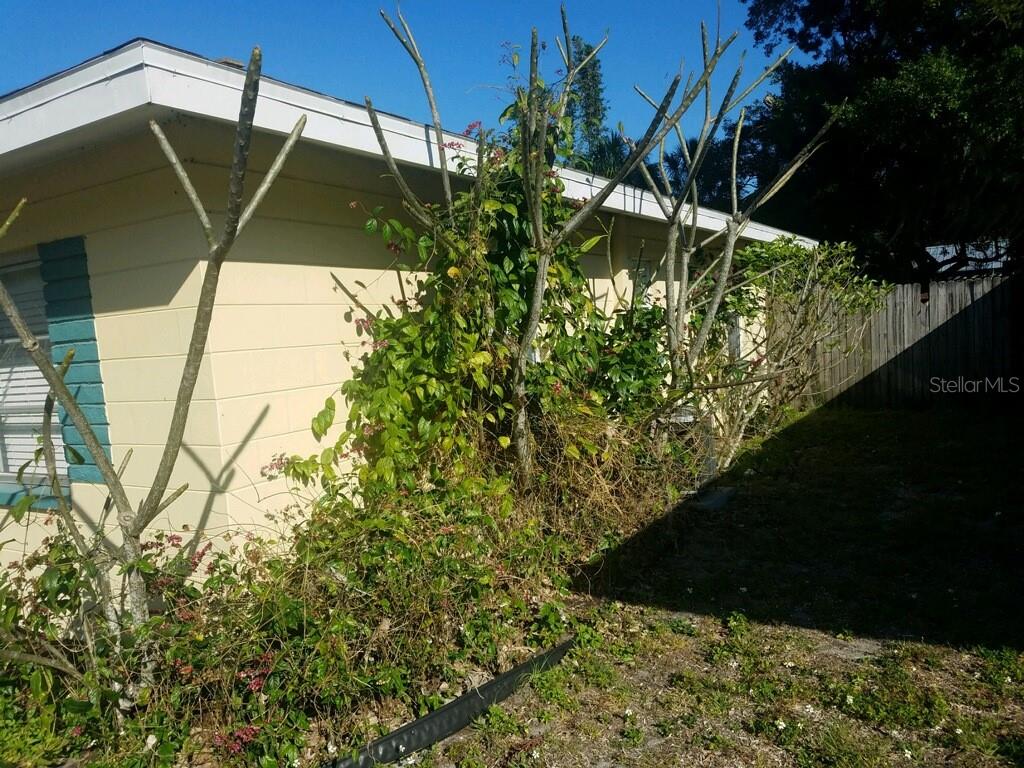 A yellow house exterior features bare trees and overgrown vines against a side wall — 2165 SUNNYSIDE LANE, SARASOTA, FL